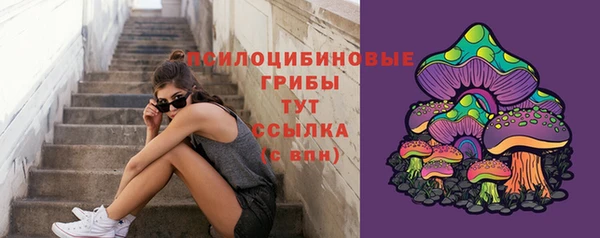 гидропоника Верхнеуральск