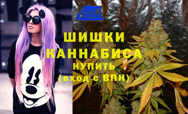 соль ск Верея