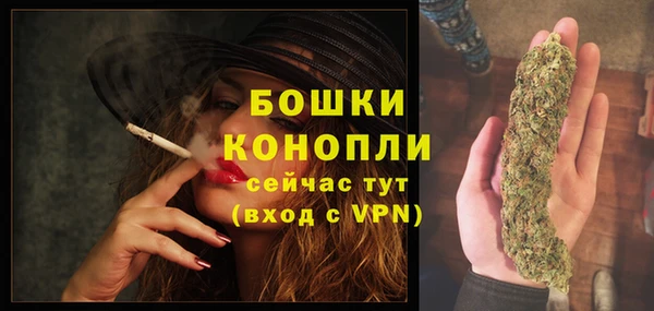 соль ск Верея