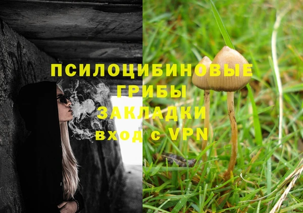 соль ск Верея
