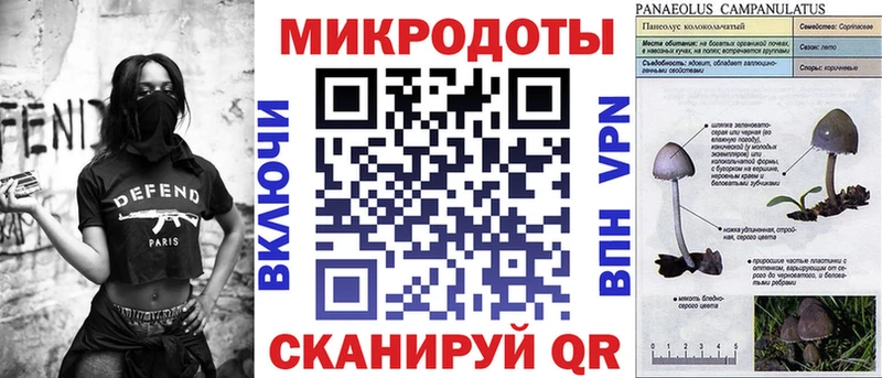 дарнет шоп  Каменск-Шахтинский  kraken ССЫЛКА  Псилоцибиновые грибы прущие грибы 