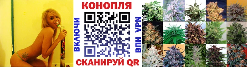 наркота  Каменск-Шахтинский  Каннабис конопля 